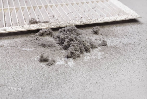 Best Residential Air Duct Cleaning  in Mlstadt, IL