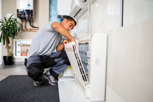 Best Air Vent Cleaning Services  in Mlstadt, IL