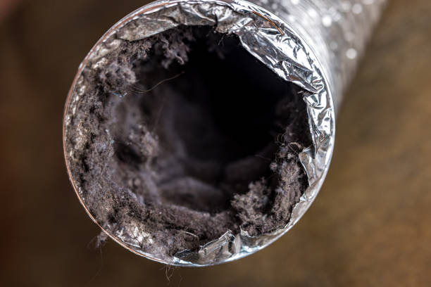 Best Air Duct Cleaning Near Me  in Mlstadt, IL
