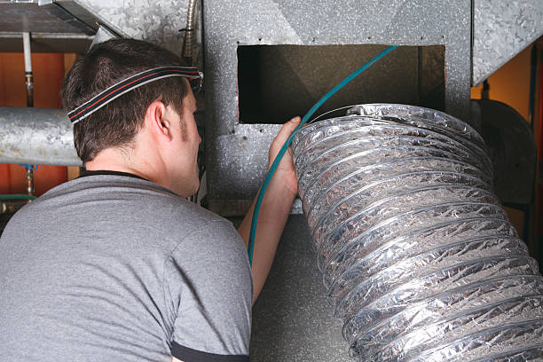 Best Home Air Vent Cleaning  in Mlstadt, IL