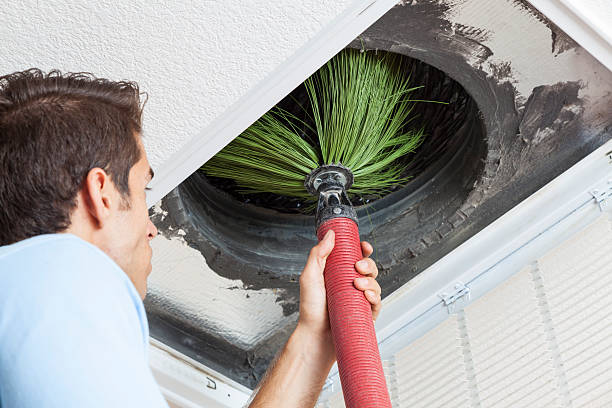 Best Affordable HVAC Duct Cleaning  in Mlstadt, IL